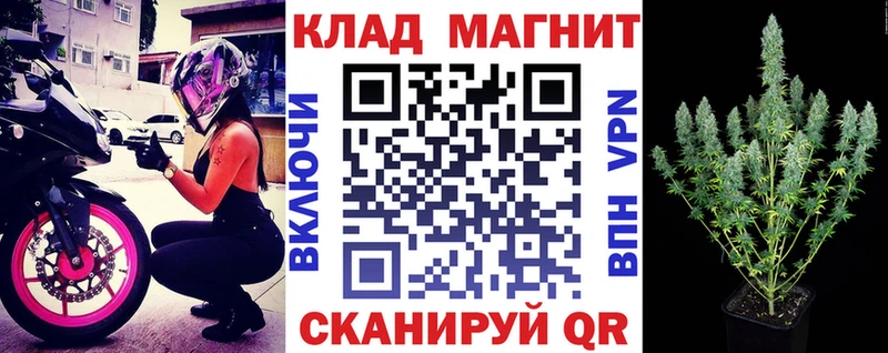 Купить закладку COCAIN МЕФ ГАШ Галлюциногенные грибы Канабис Щёлково