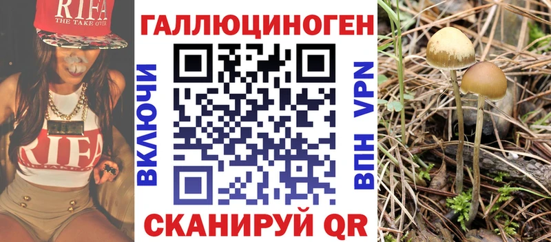 Галлюциногенные грибы Psilocybe  Купить закладки  Щёлково 